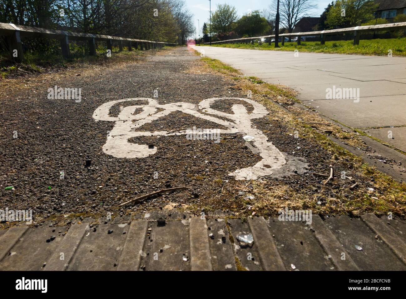 local bike paths near me