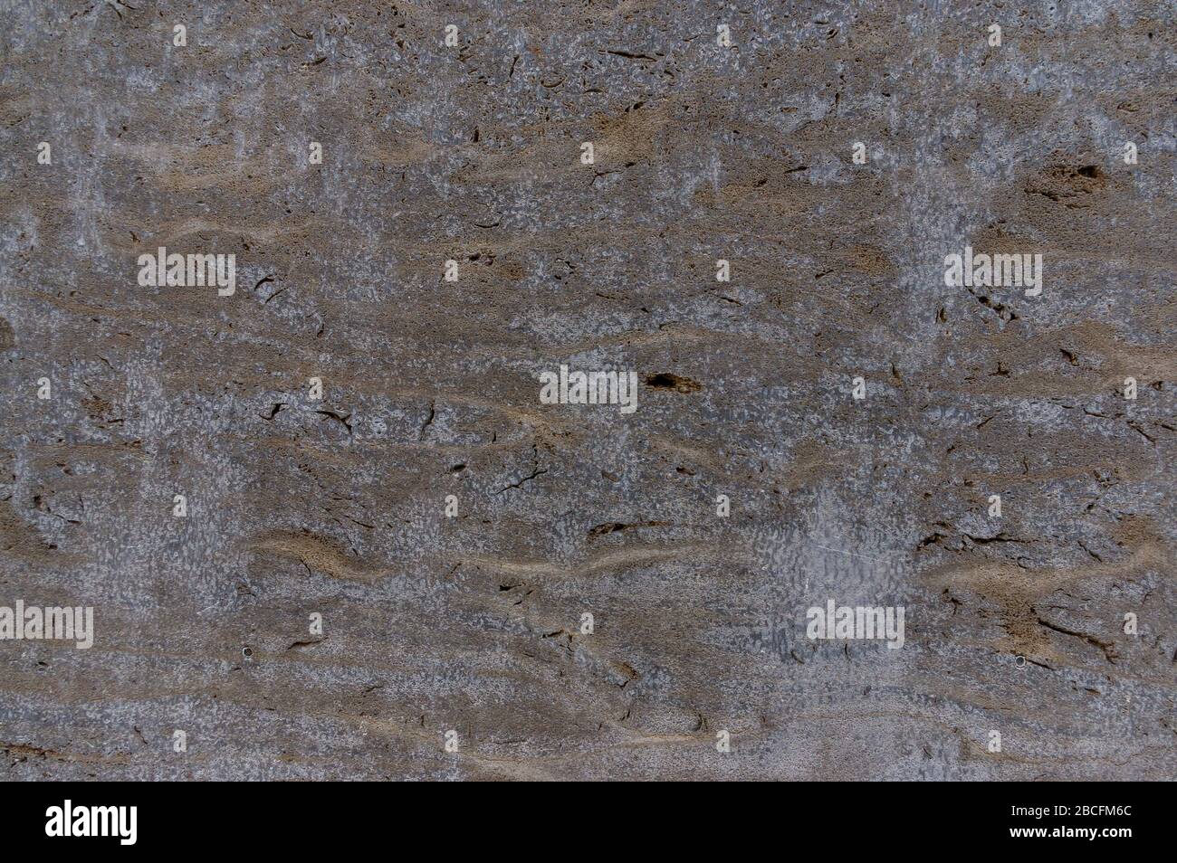 noble natural stone travertine shell limestone as wall cladding for abstract background Stock Photo