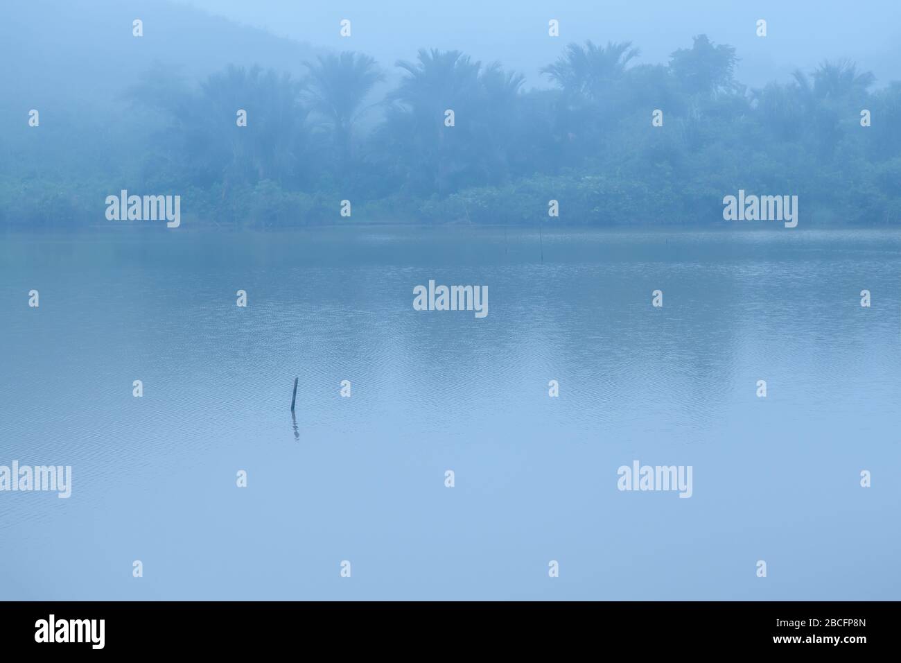 Landscape of lake in the morning and fog Stock Photo - Alamy