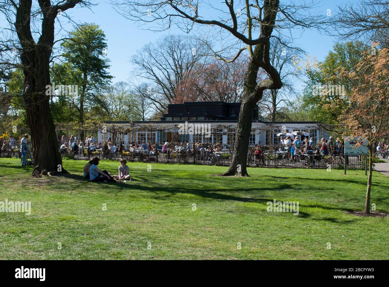 The Pavilion Restaurant Structure Architecture Royal Botanic Gardens