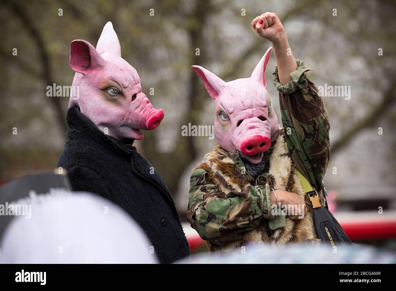Two protesters wearing pig masks, one of whom has their fist raised in the air, at an Anti-Austerity demonstration in Trafalgar Square, London Stock Photo