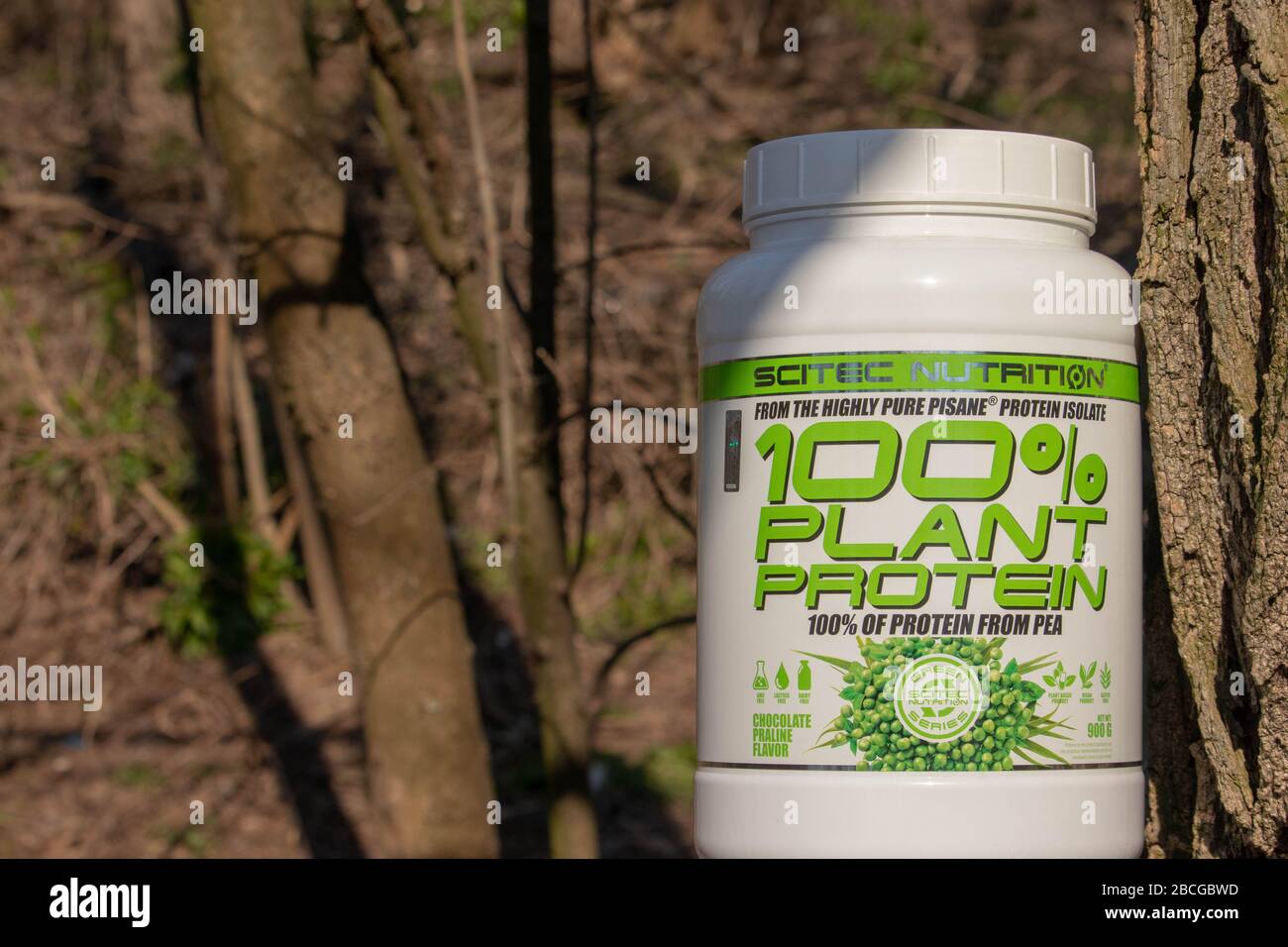 BELGRADE SERBIA 03 04 2020 Plant protein powder in bottle from Scitec  Nutrition. Vegan/Vegetarian version of protein supplement made from pea.  Green p Stock Photo - Alamy