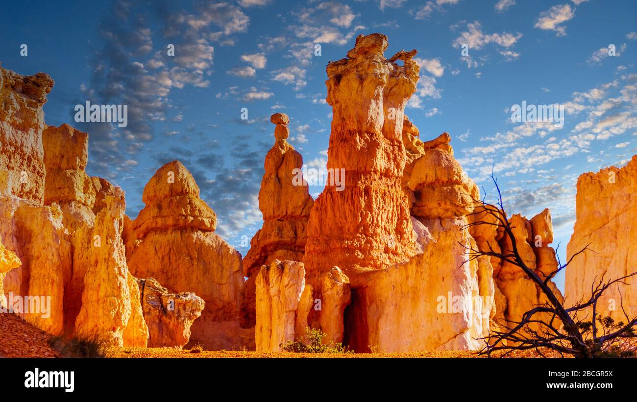 Sunset over the vermilion colored Hoodoos on the Queen's Garden Trail in Bryce Canyon National Park, Utah, United States Stock Photo