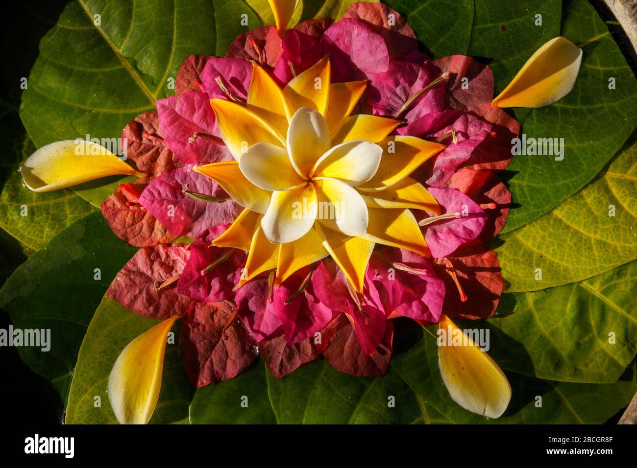 Indonesia, Bali, Hindu flower offerings Stock Photo Alamy
