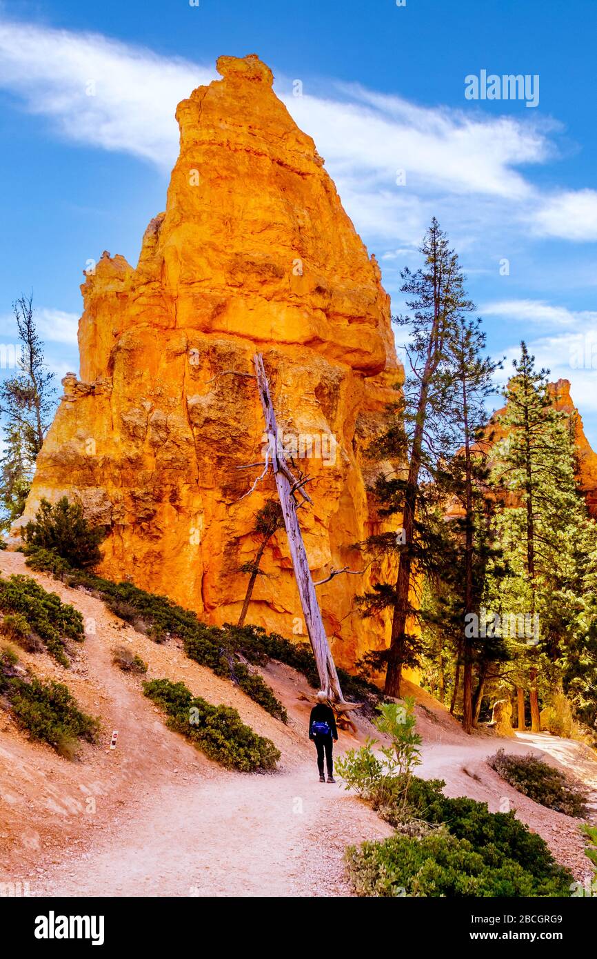 Woman hiking on navajo loop trail hi-res stock photography and images ...