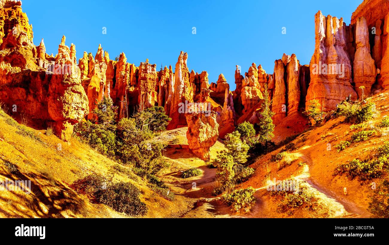 Sunrise over the vermilion colored Hoodoos on the Queen's Garden Trail in Bryce Canyon National Park, Utah, United States Stock Photo
