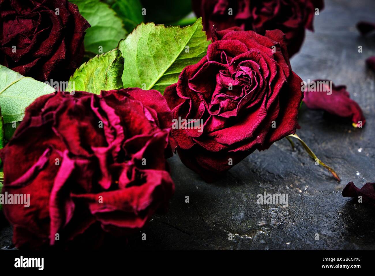 Dead flower petals on floor hi-res stock photography and images - Alamy