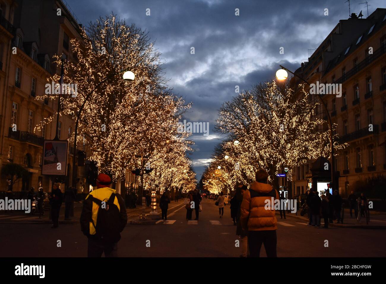 Trees lit up at night in winter with pedestrians in the streets of