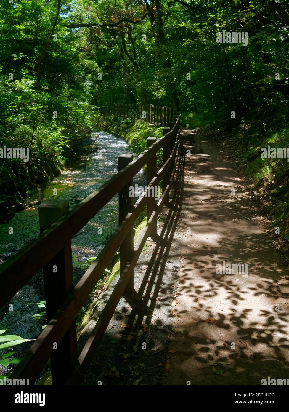 Beautiful long hiking footpath with wooden fence next to the Tajima river in Ito, Izu, Japan. The sun shining through the leaves, casting shadows. Stock Photo