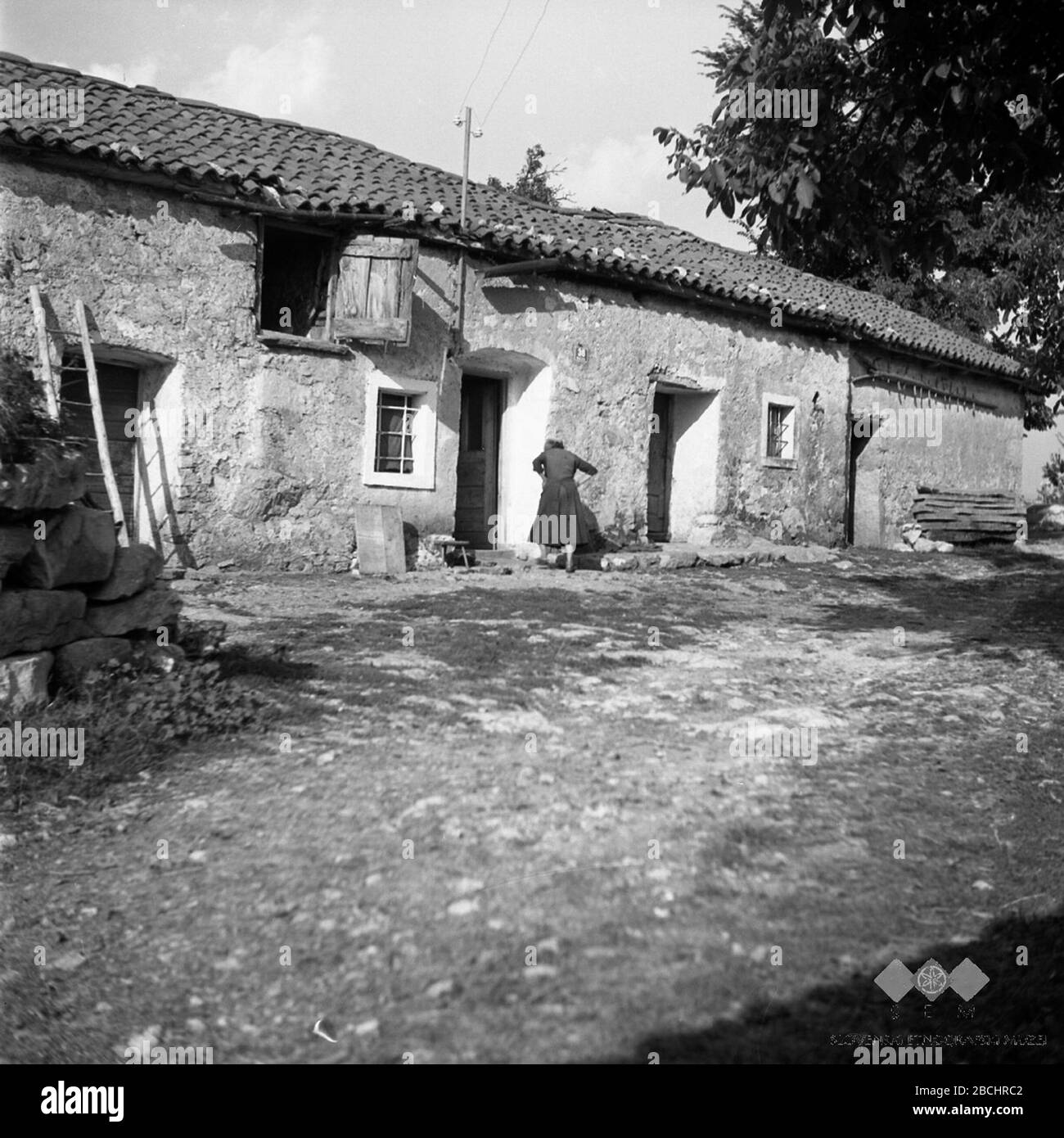 'Slovenščina: Štala (hlev) in hiša, pri Matanjovih, Račice.; August 1955; This image or media is available on the Slovenian Ethnographic Museum's websiteunder the reference number brkini/f0000012487.This tag does not indicate the copyright status of the attached work. A normal copyright tag is still required. See Commons:Licensing. English | slovenščina | +/−; Fanči Šarf  (1924–)        Description Slovene ethnologist and photographer  Date of birth  1924   Location of birth  Ljubljana   Work period 20th century date QS:P,+1950-00-00T00:00:00Z/7  Authority control  : Q41784719 VIAF: 239813517 Stock Photo