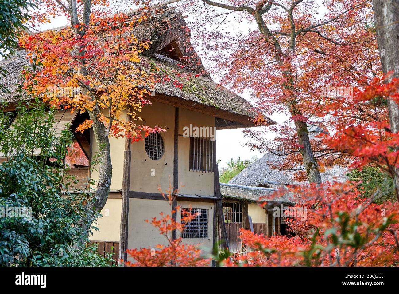Old house with different windows in Japanese garden in autumn Stock Photo