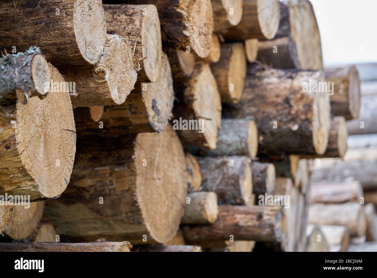 Lumber yard with stacked lumber Stock Photo - Alamy