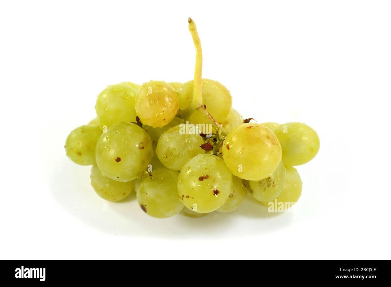 A bunch of overripe grapes isolated on white background Stock Photo - Alamy