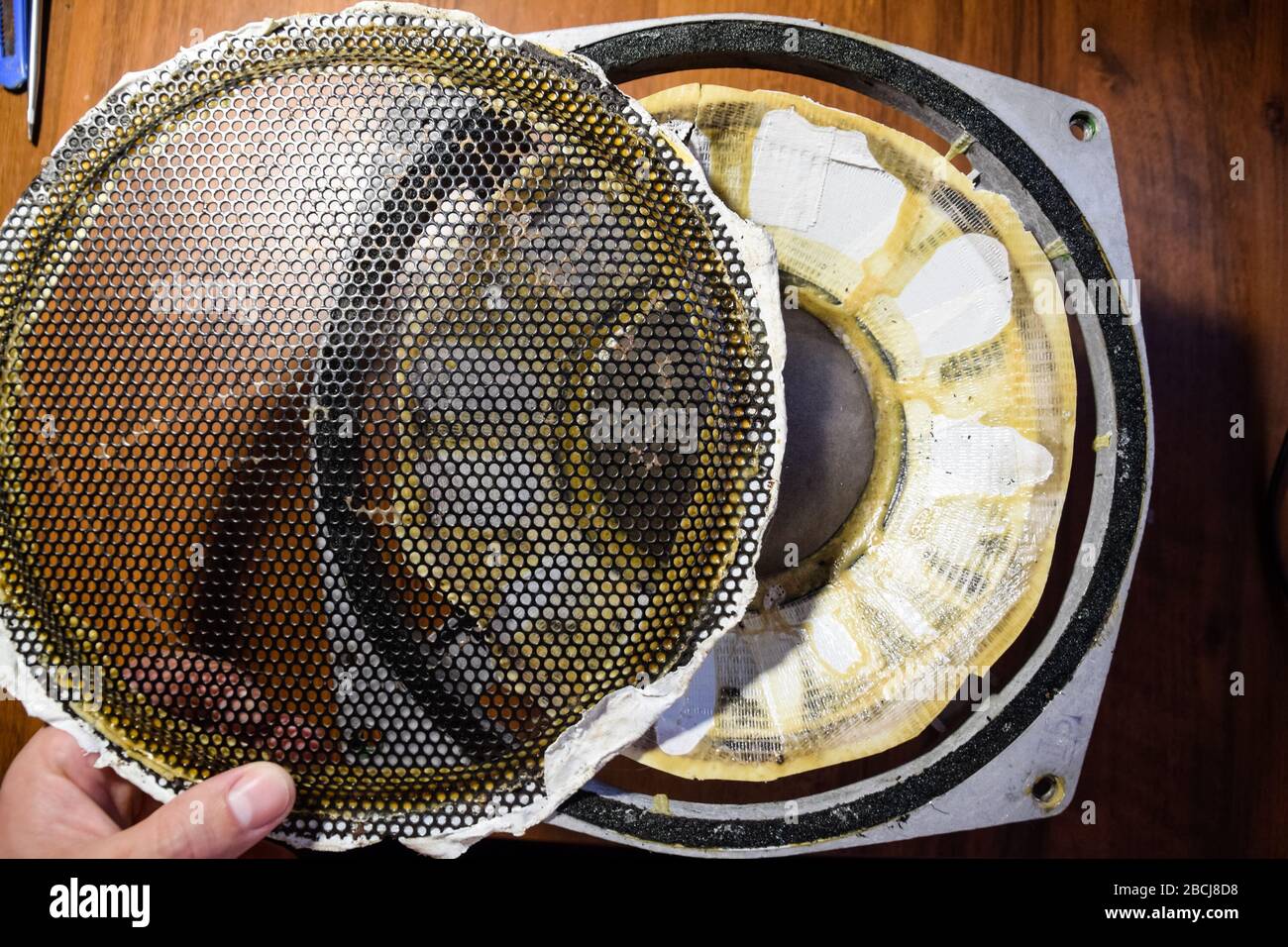 The woofer 75gdn3 sealed with adhesive plaster. Repair and restoration