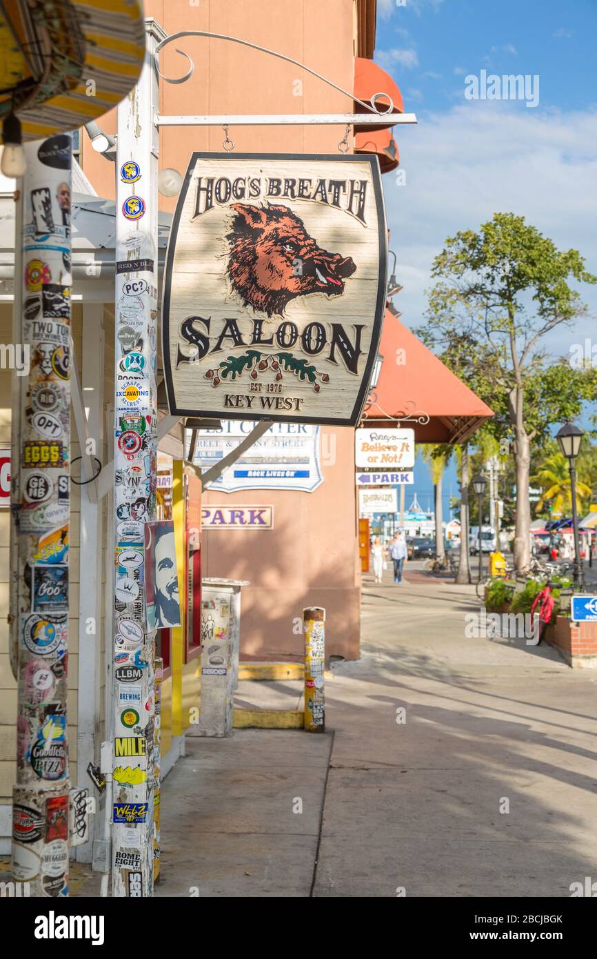 Hog's breath saloon key west hires stock photography and images Alamy