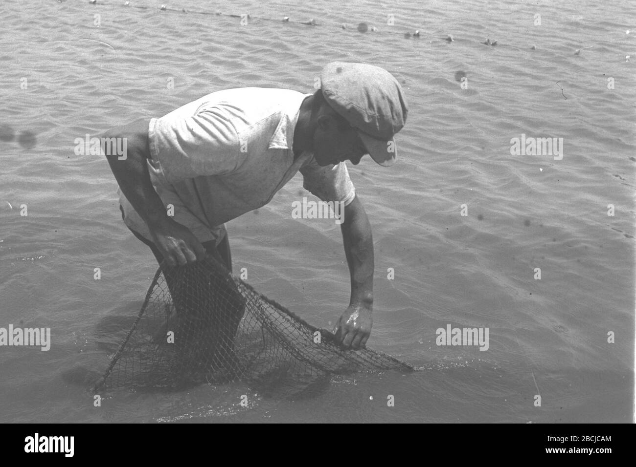 Aying Black And White Stock Photos Images Alamy