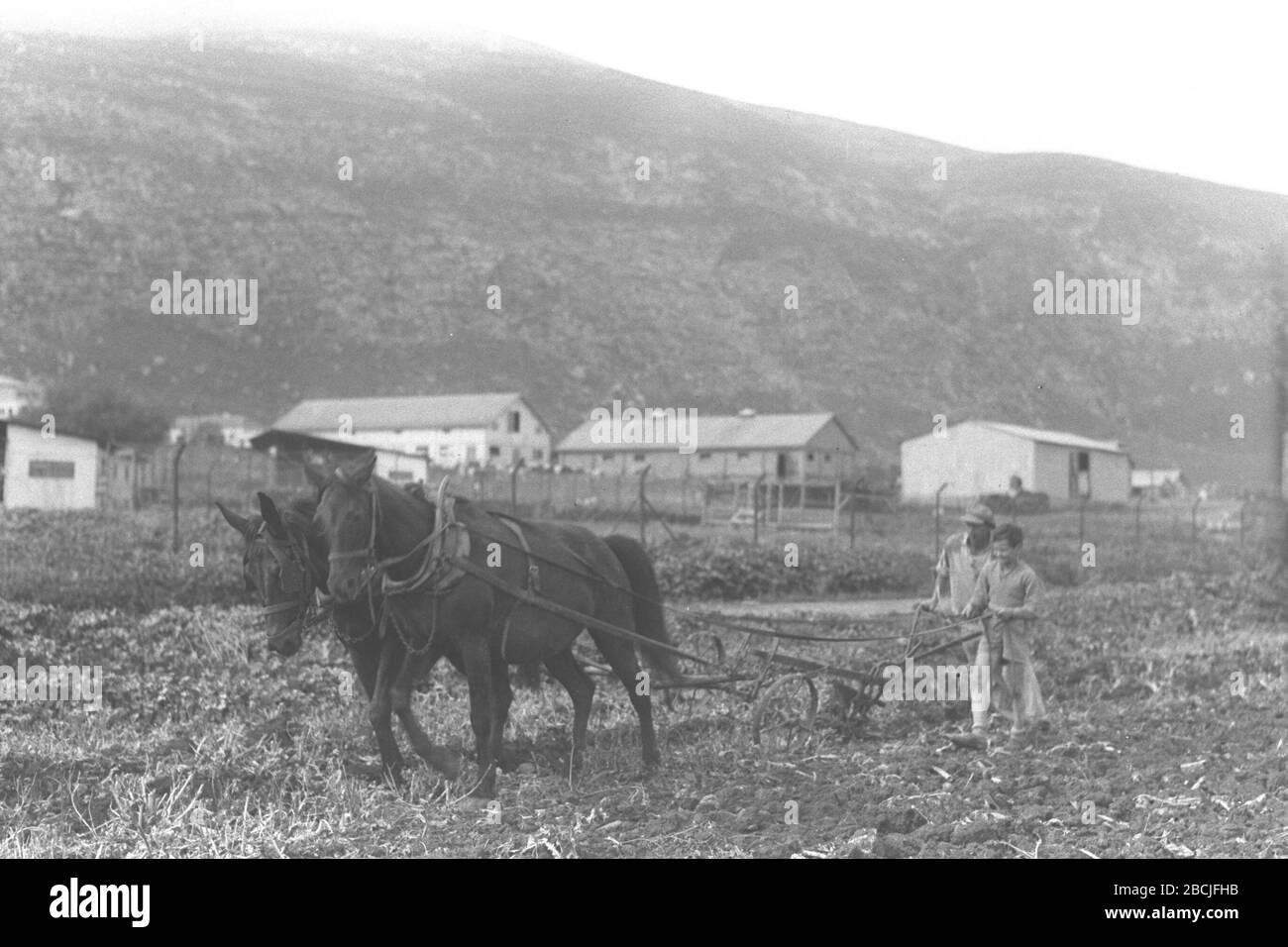 English Kibbutz Members Ploughing A Field At Beit Alfa O U I O U O E O Ss O E I E O E U E O I C O U E C I I 30 March 1937 This Is Available From National Photo Collection Of Israel
