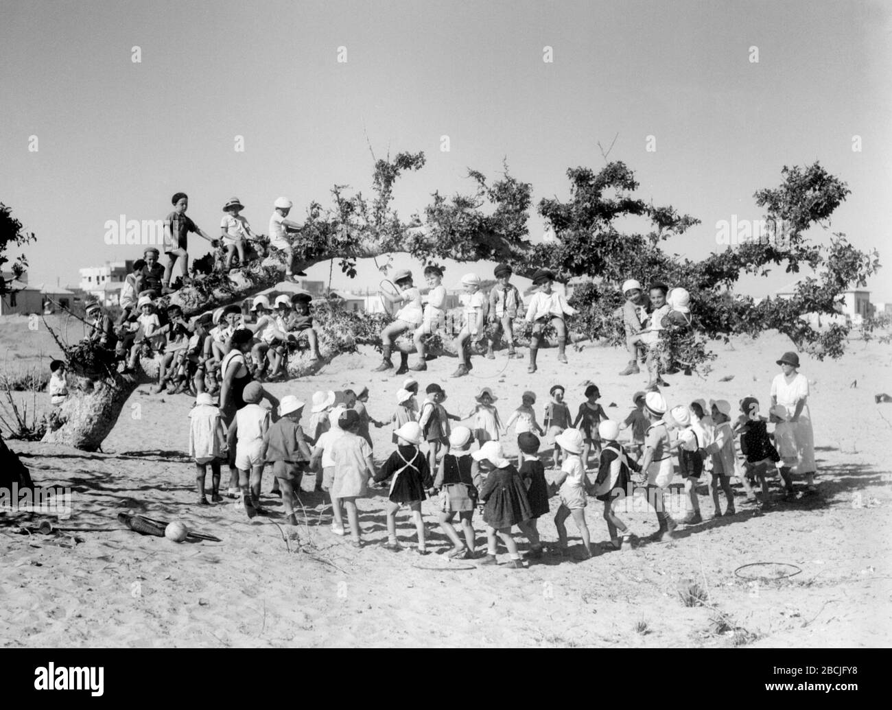 English Kindergarten Children Playing In The Sand Under An Ancient Sycamore Tree In Tel Aviv O U I O I U U C O Ss O U E O I U U O U C Ss U I E U E E O E 01 06 1933 This Is Available From National