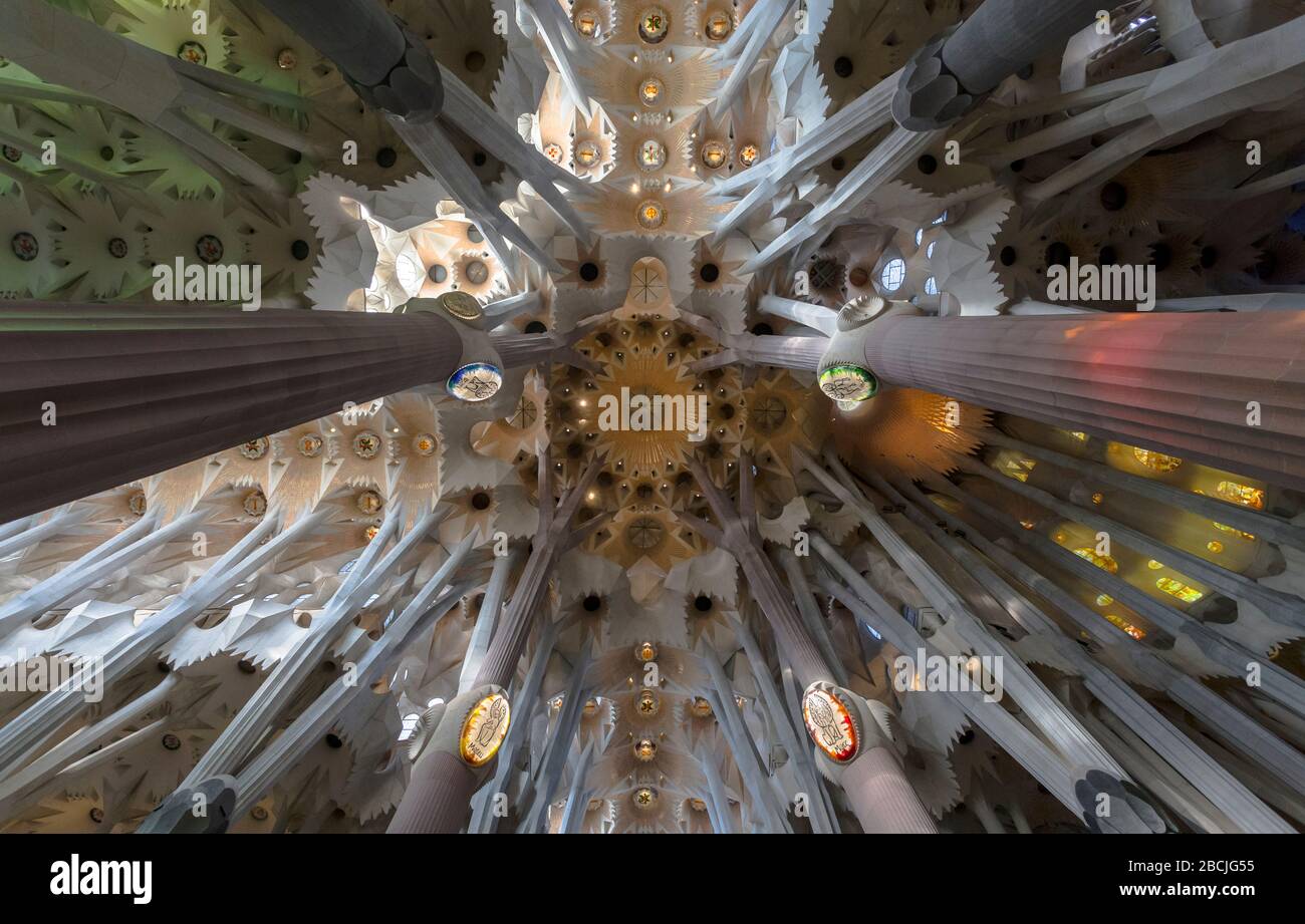 Interior view of columns and ceiling in the Basílica de la Sagrada ...