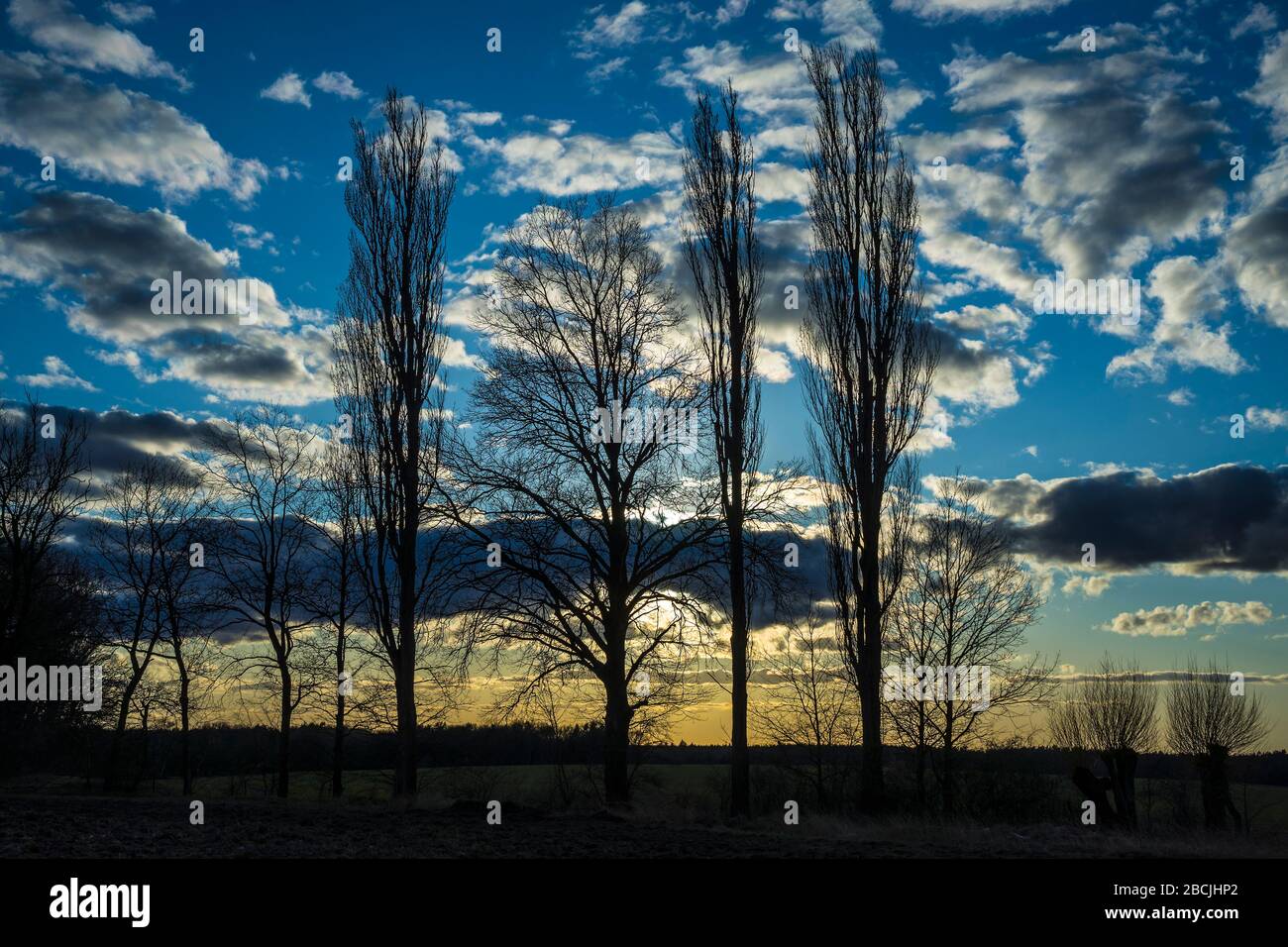 Soft light landscape hi-res stock photography and images - Alamy