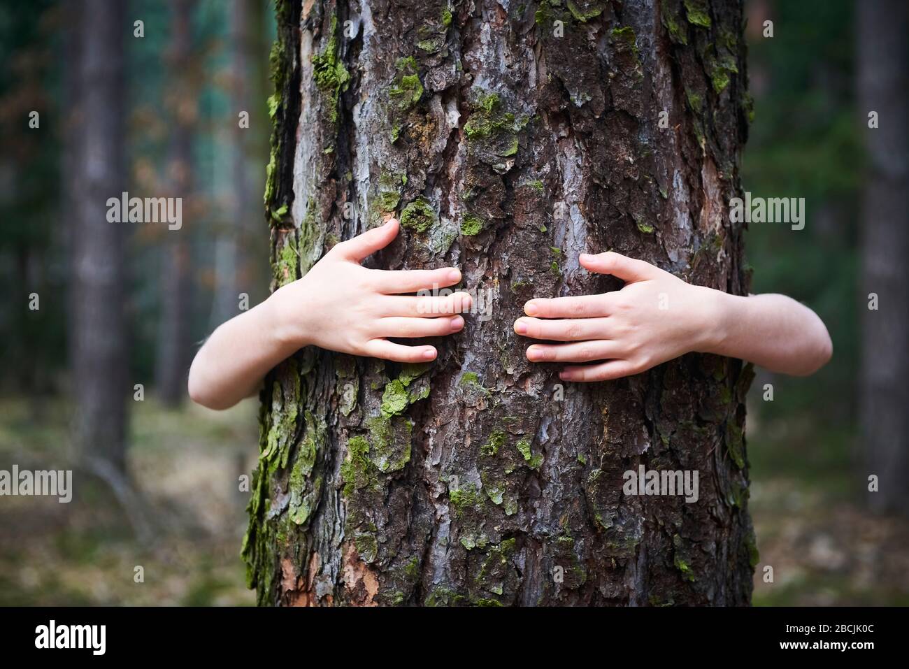 Child girl stand behind and give hug to tree in forest. Thumbs up Stock ...