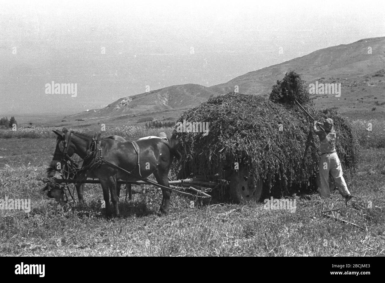 Ua Ei Black And White Stock Photos Images Alamy