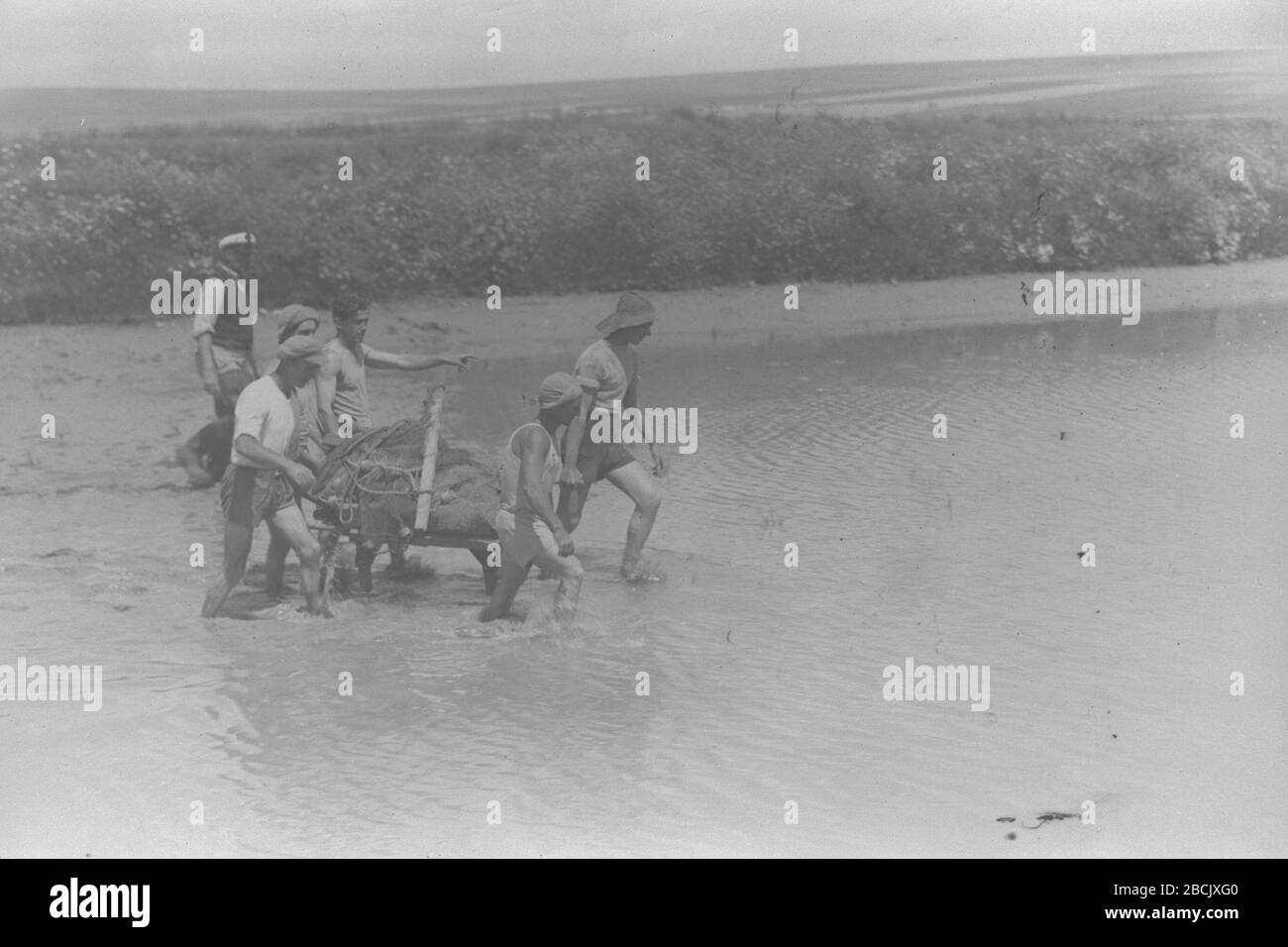 English Members Of Kibbutz Sde Nahum Carrying A Fishing Net Into The Fish Pond O E O Ss O E I C I I O I U O I E O U U I I I E I O E I U I I I O U E O O C I E 01 06 1943 This Is