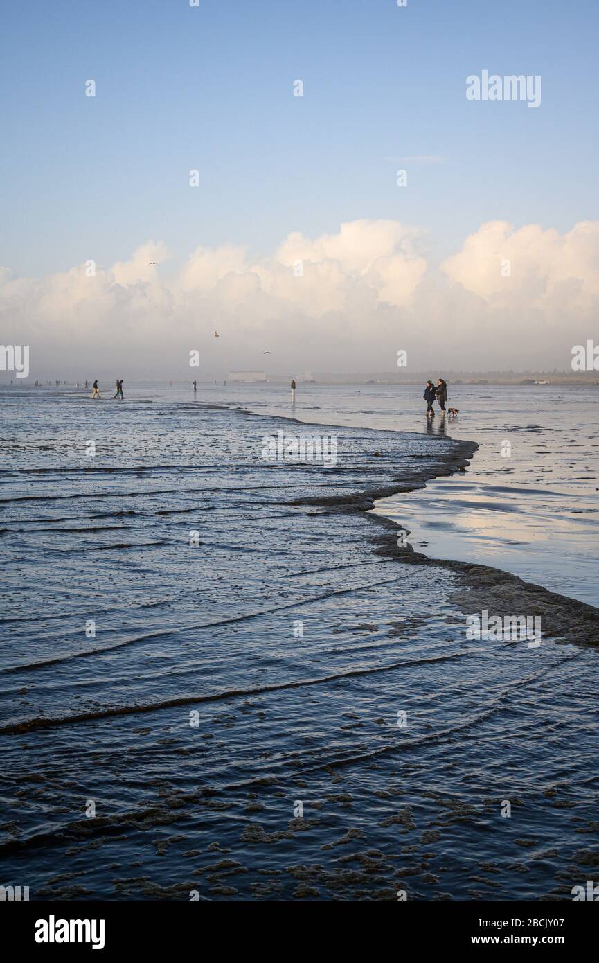 Clam digging washington hires stock photography and images Alamy