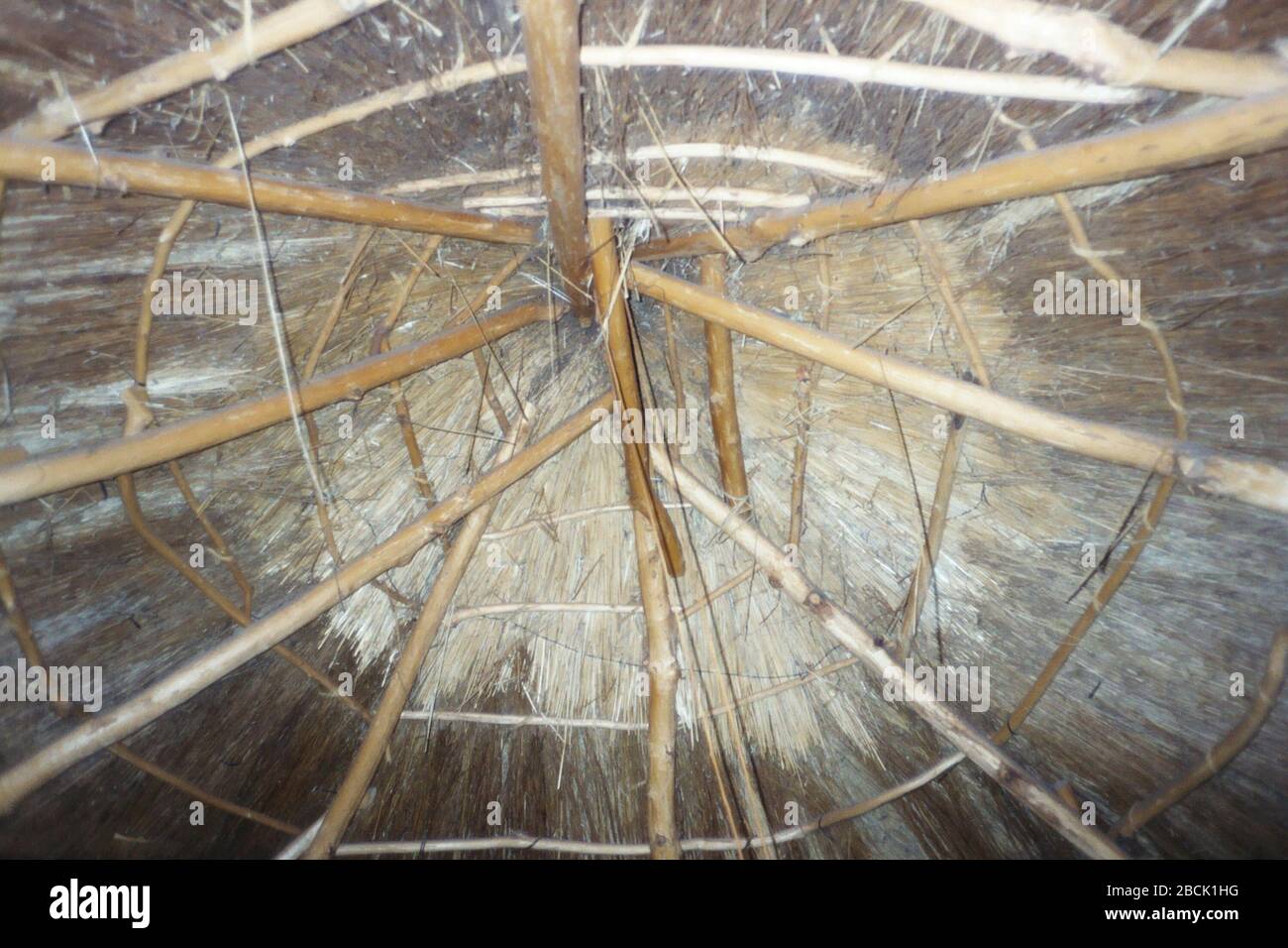 English: The inside of a rondavel looking up towards the ceiling. This  picture was taken by Rich Tracy in a village in Lesotho during the time  frame of 2002-2004. No copyrights reserved.;
