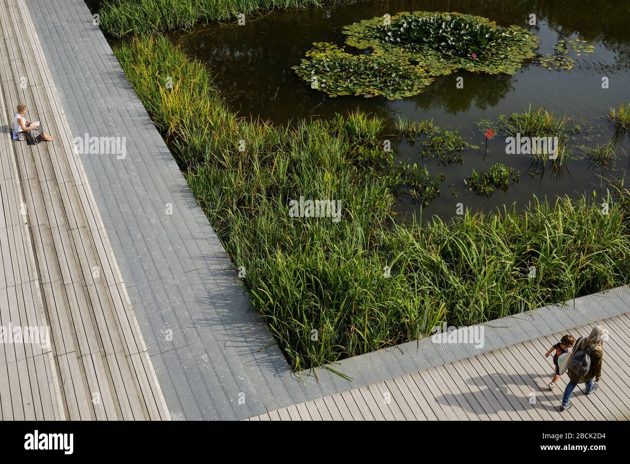 Martin Luther King park Paris 17. The lake Stock Photo