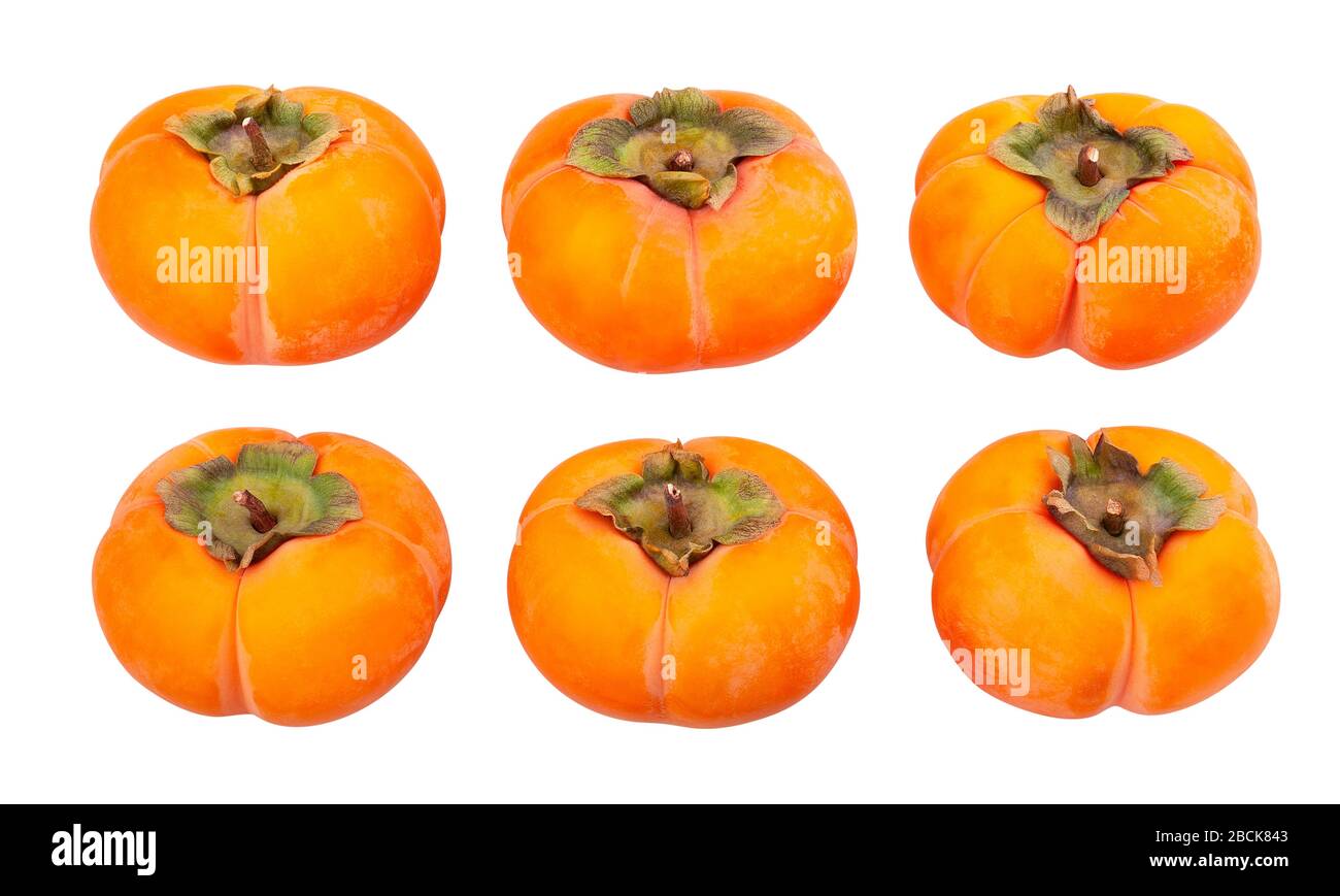 kinglet persimmons path isolated on white Stock Photo