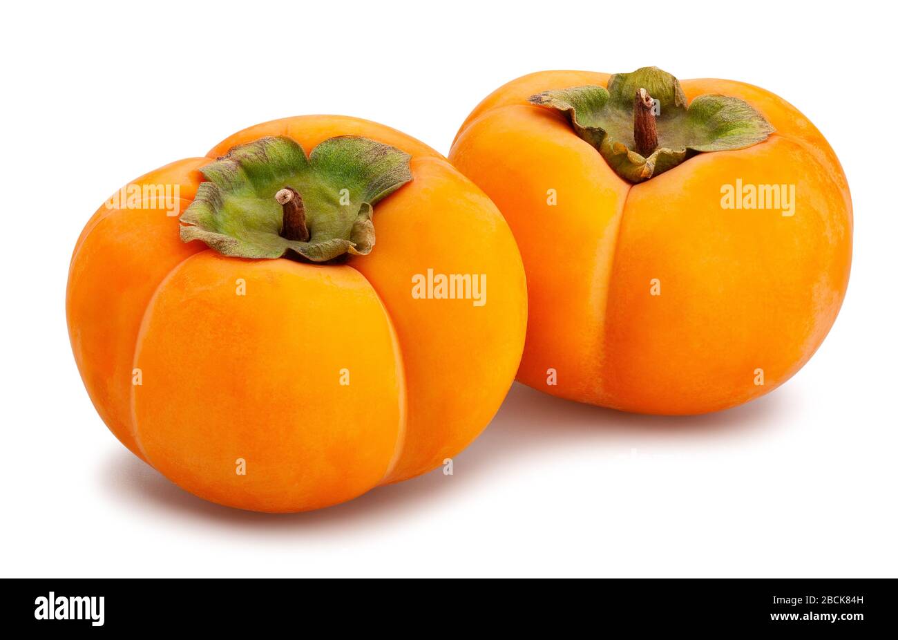 kinglet persimmons path isolated on white Stock Photo
