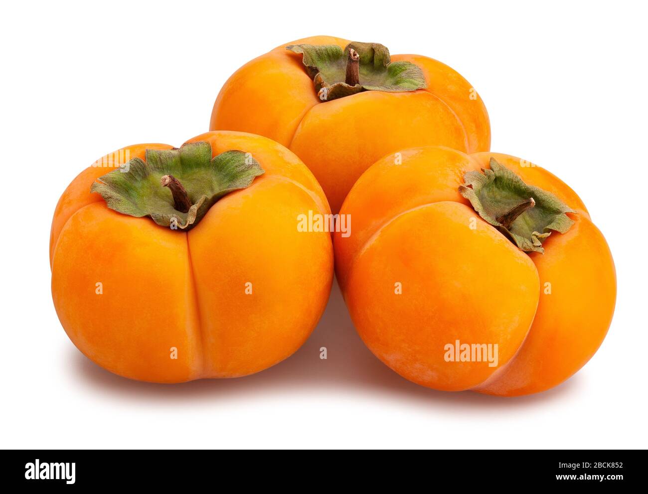 kinglet persimmons path isolated on white Stock Photo