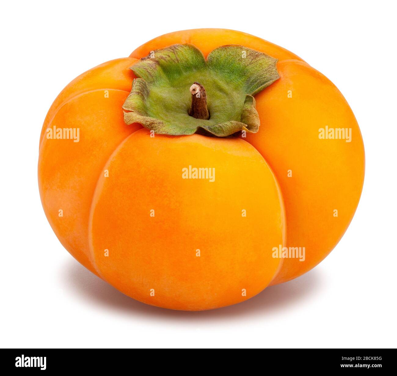 kinglet persimmons path isolated on white Stock Photo