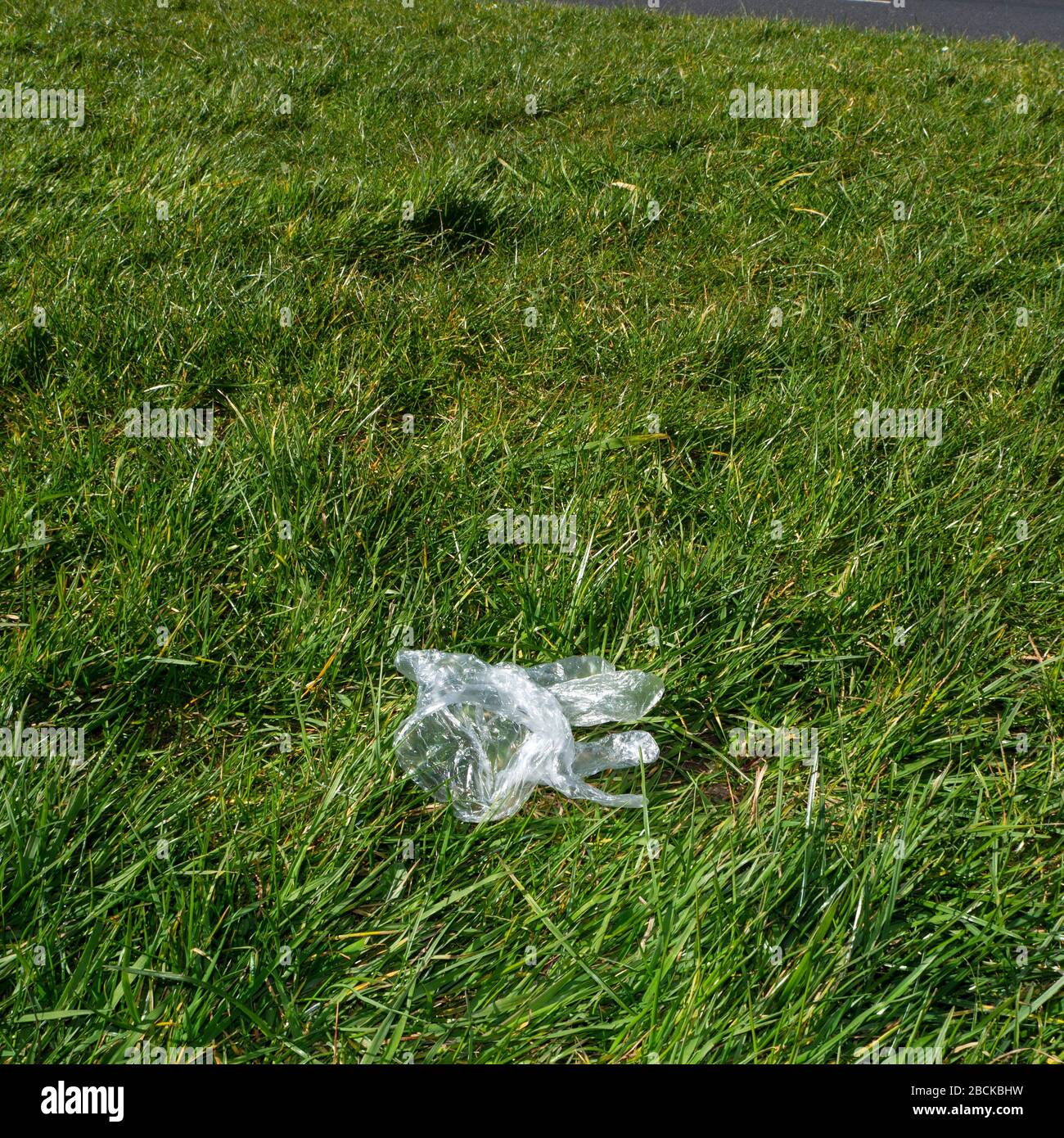 discarded disposable gloves Stock Photo Alamy