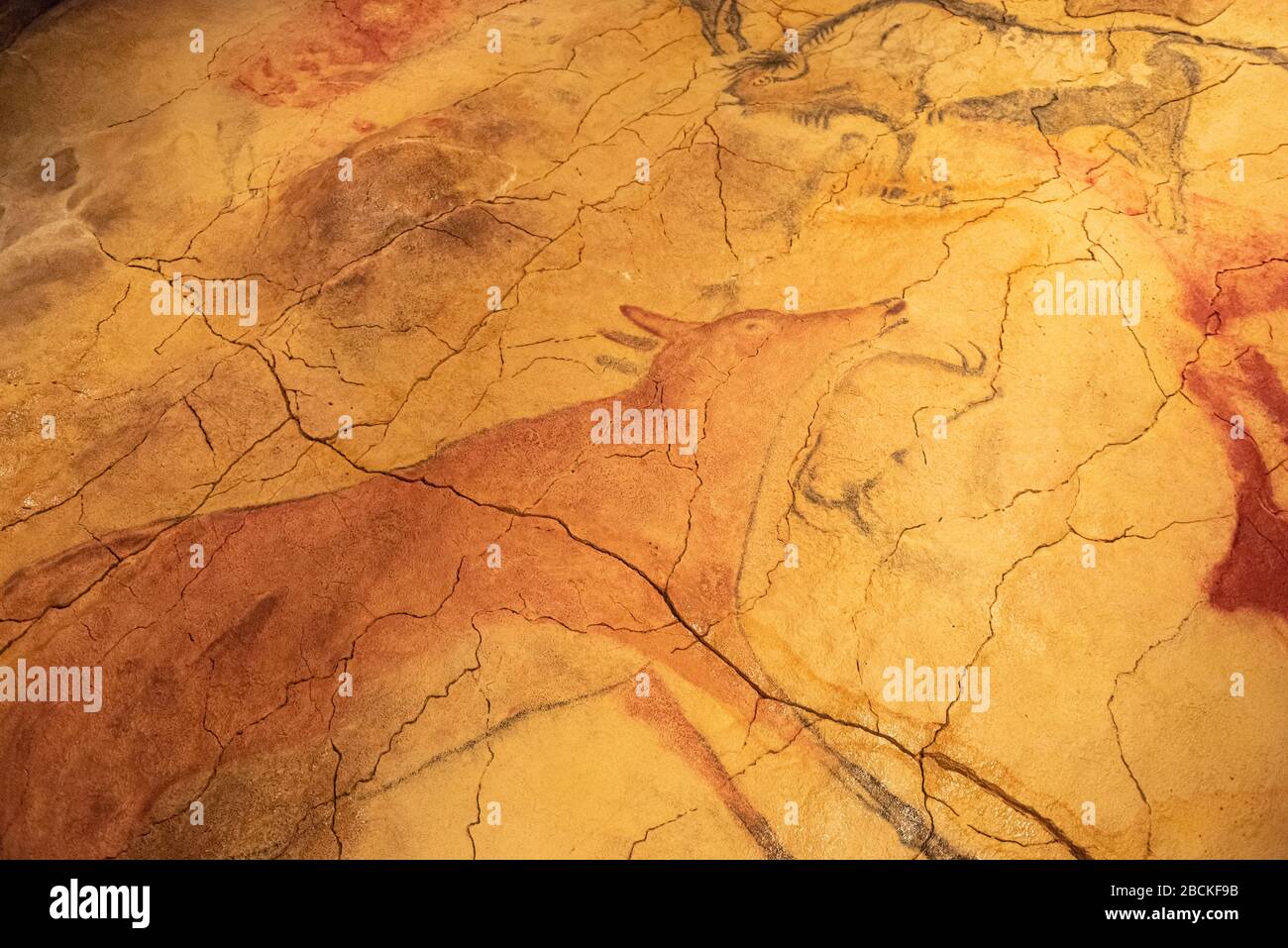 The Altamira Caves, Cantabria. Spanish rock art. It is the highest