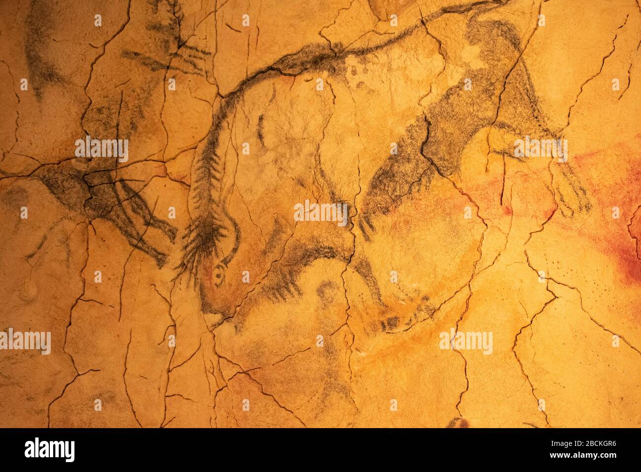 The Altamira Caves, Cantabria. Spanish rock art. It is the highest