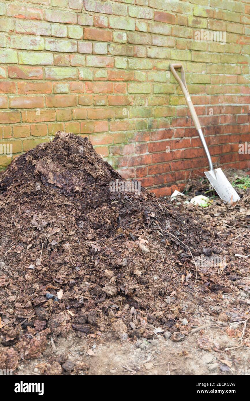 Composting, organic waste decomposing on a compost heap in a garden, UK Stock Photo