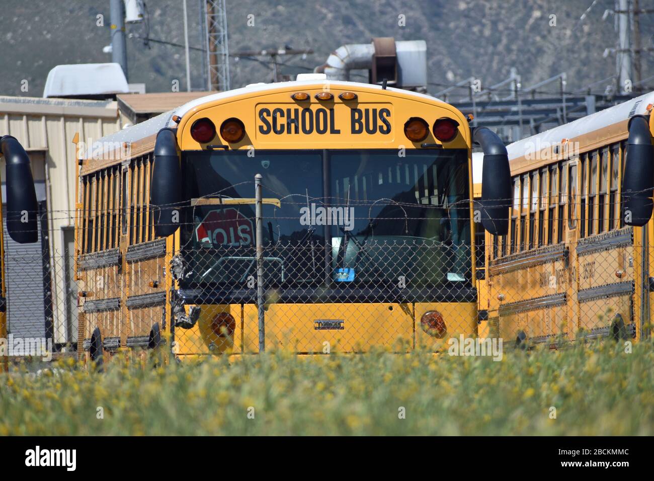 School bus car transport lettering hi-res stock photography and images ...