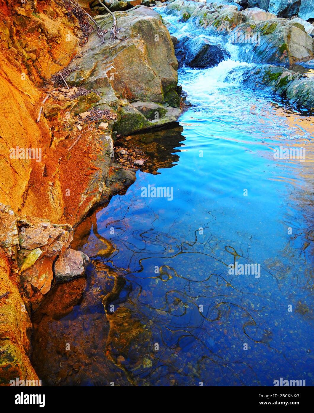 A vibrant blue pool of water reflects twisting tree branches just below some rapids in a stream with big moss coverd rocks on a bright winter day. Stock Photo