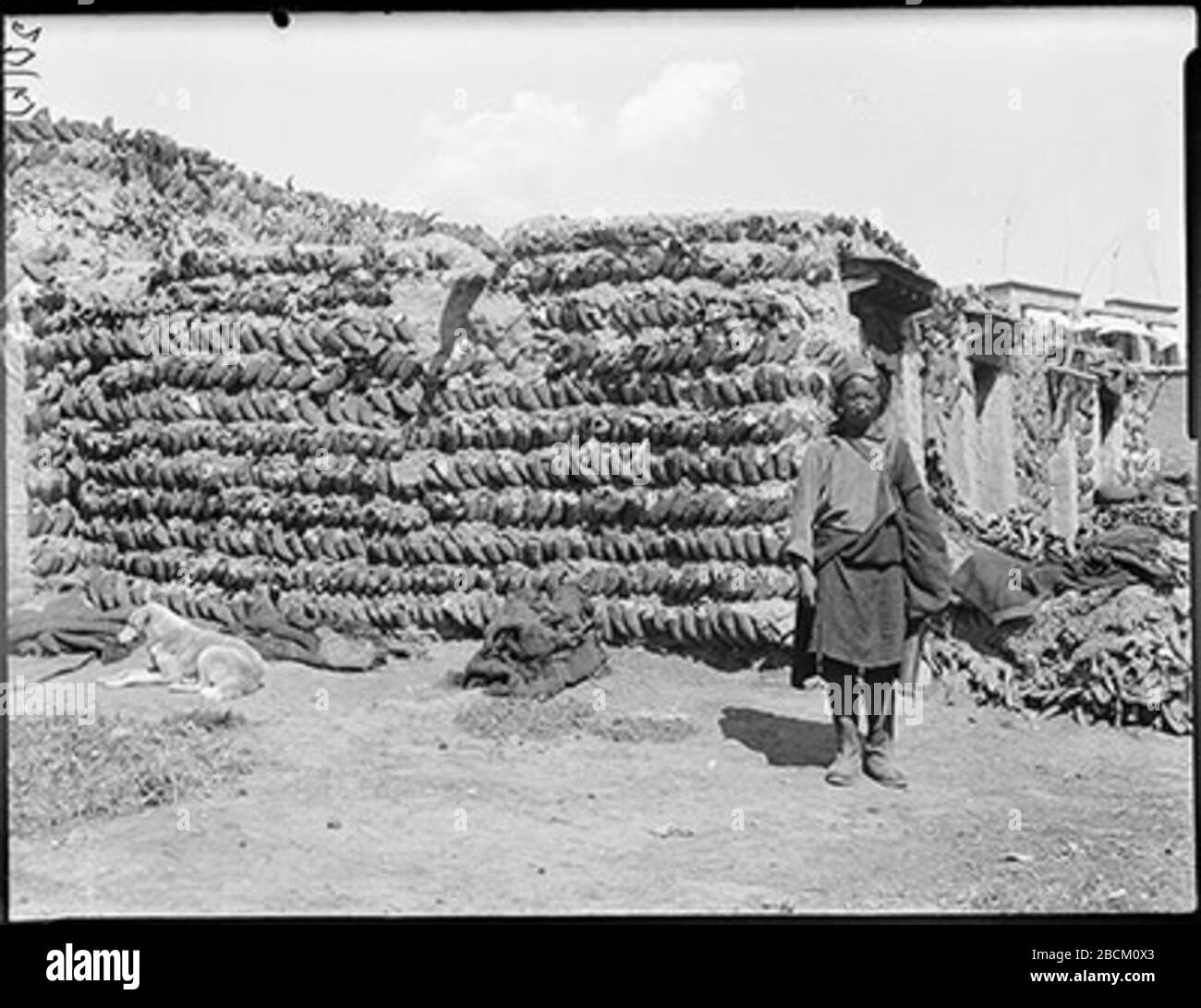 English Ragyapa Houses In Lhasa Made From The Horns Of Yaks Ordinary Cattle Sheep And Other Animals Circa 1920 1921 1 Charles Bell 1774 1842 Alternative Names Signe De Charles Bell Bell S Law Bell Magendie