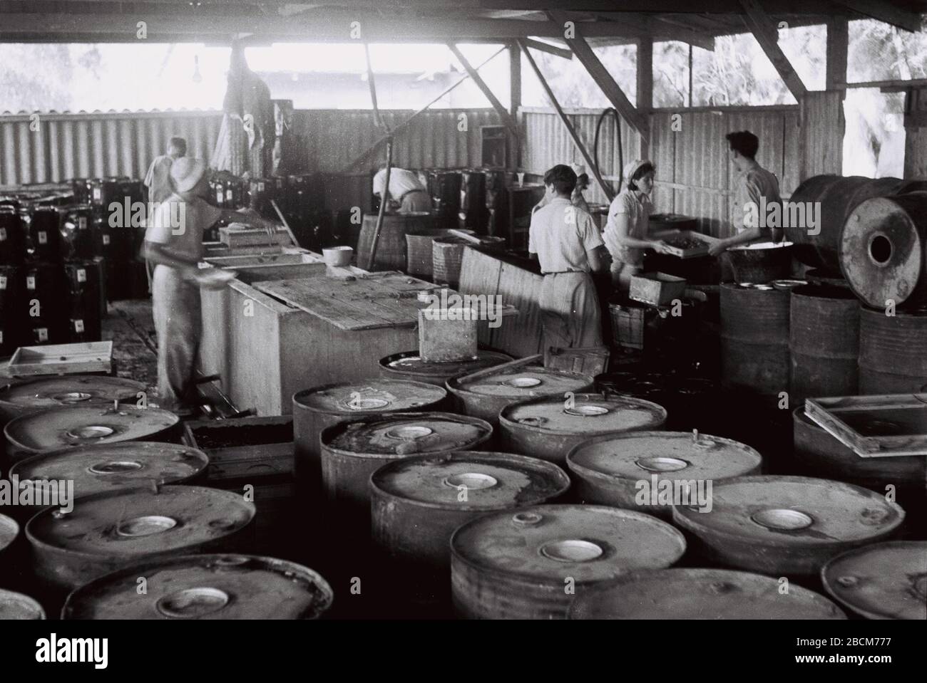 English The Edible Oil Plant At Kibbutz Degania B U U U C U U E O O U E Ss O E I I I O I E 30 July 1945 This Is Available From National Photo Collection Of Israel Photography Dept Goverment Press Office