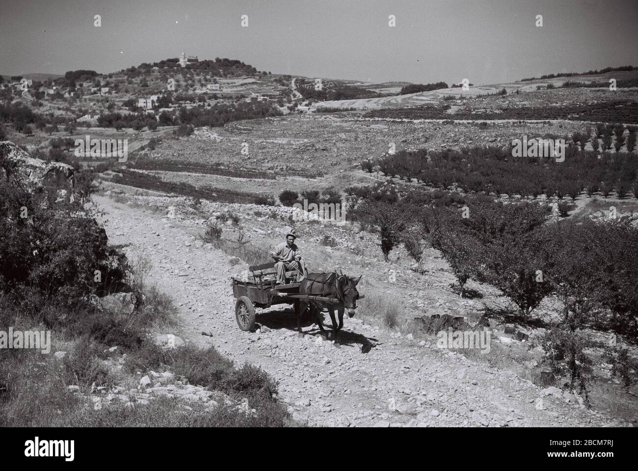 English The Road Leading To Kibbutz Maale Hahamisha I U I U I E I O U Ss O E I U U I I O U O C I 01 09 1945 This Is Available From National Photo Collection Of Israel Photography Dept Goverment