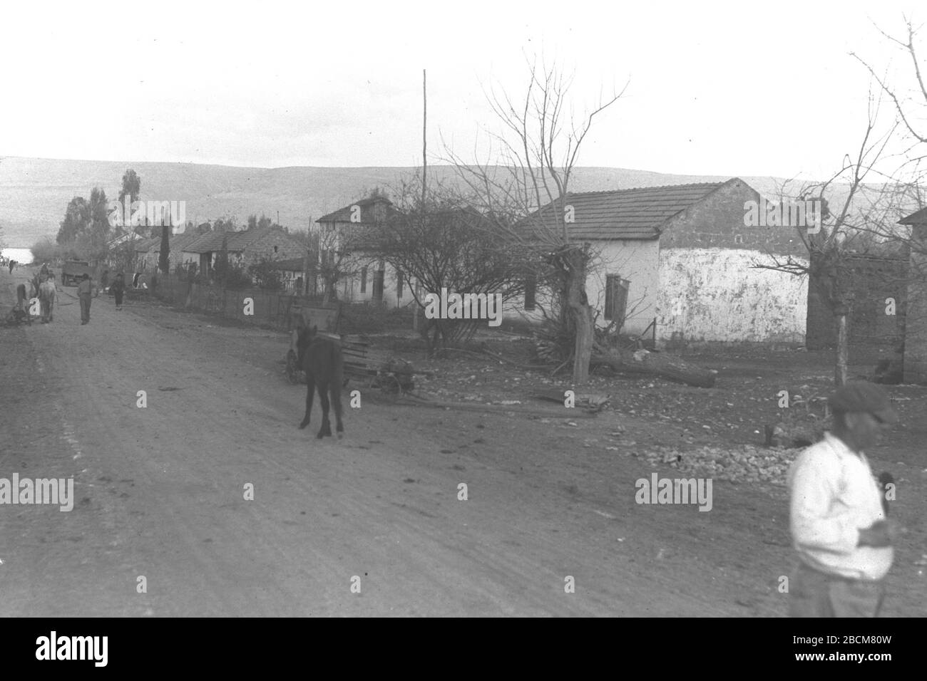 English The Village Street In Yssod Hamaala On The Shore Of The Hula Lake I O O I I I U U I 3 March 1937 This Is Available From National Photo Collection Of Israel Photography Dept Goverment