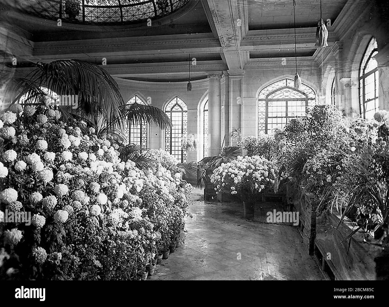 Francais Photographie Jardin D Hiver Casa Loma 1 Terrasse Austin Toronto Ontario Canada Vers 1915 Fonds 1244 Item 4074 English Photographs Conservatory Casa Loma 1 Austin Terrace Toronto Ontario Canada Circa 1915 Francais Photographie Jardin D Hiver Casa Loma 1 Terrasse Austin Toronto Ontario Canada Vers 1915 Fonds 1244 Item 4074 English Photographs Conservatory Casa Loma 1 Austin Terrace Toronto Ontario Canada Circa 1915