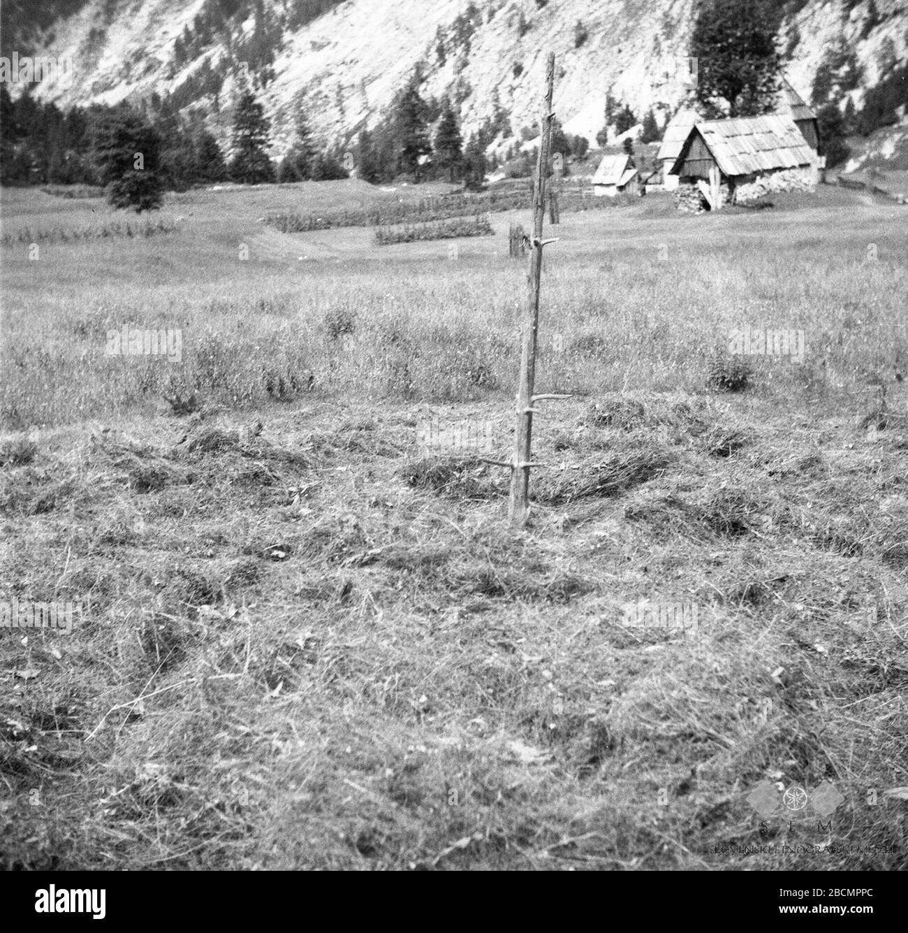 Kou Black And White Stock Photos Images Alamy