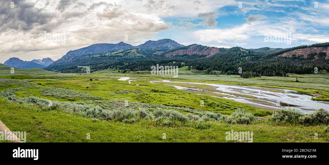 Soda Butte Creek is a major tributary of the Lamar River at Yellowstone ...