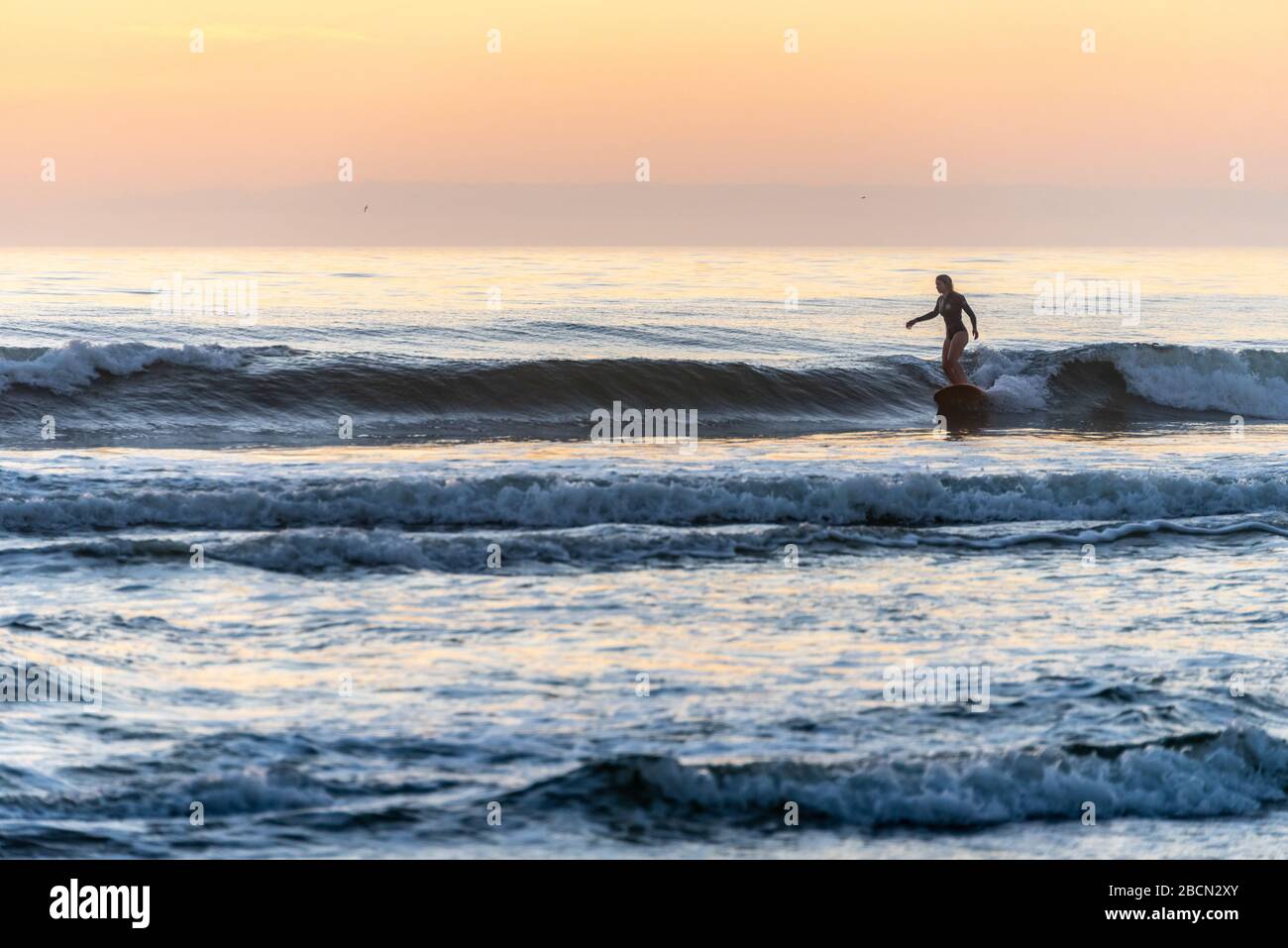 Young woman enjoying a pre-sunrise 'dawn patrol' surfing session at Jacksonville Beach, Florida. (USA) Stock Photo