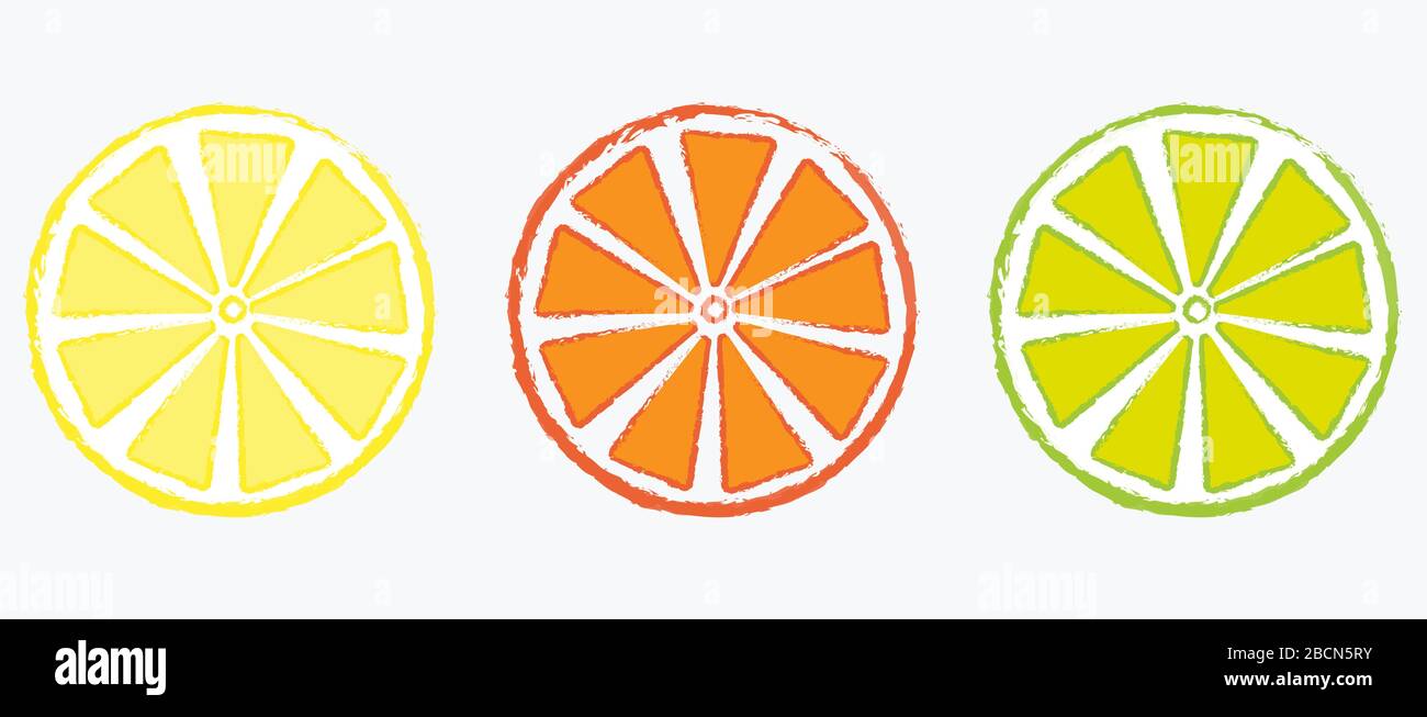 Three citrus fruit slices vector drawing Stock Vector Image & Art Alamy