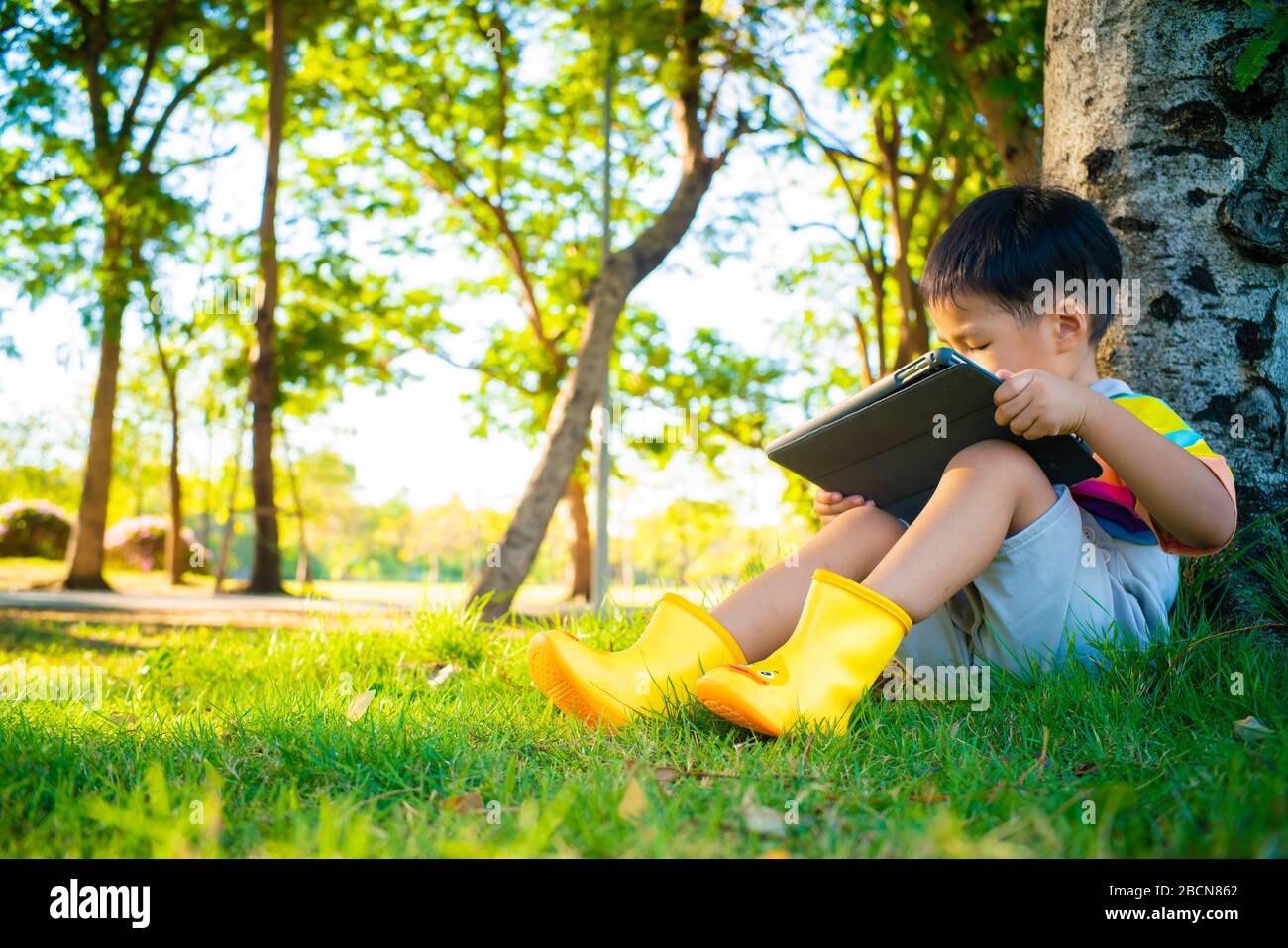 Boy Sitting Under Tree Reading High Resolution Stock Photography And Images Alamy